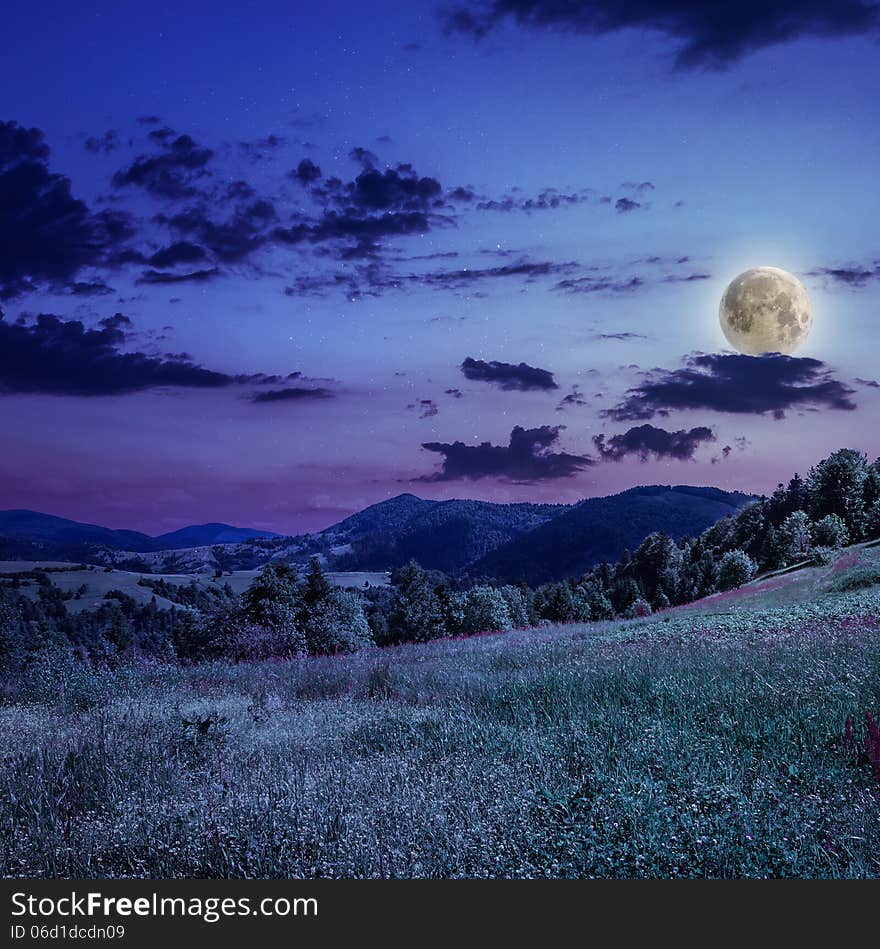 Coniferous forest on a steep mountain slope at night;. Coniferous forest on a steep mountain slope at night;