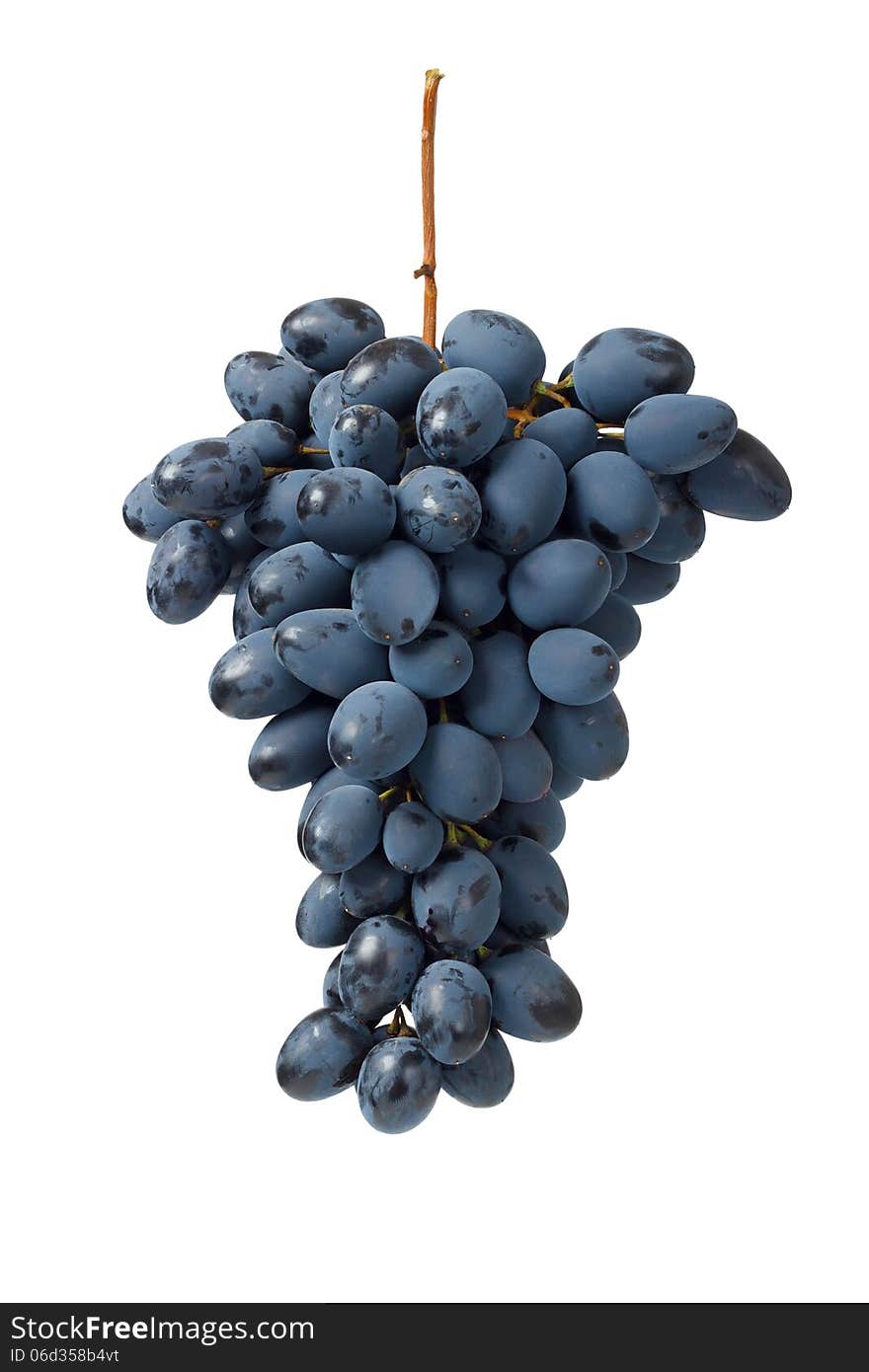 Fresh blue grape