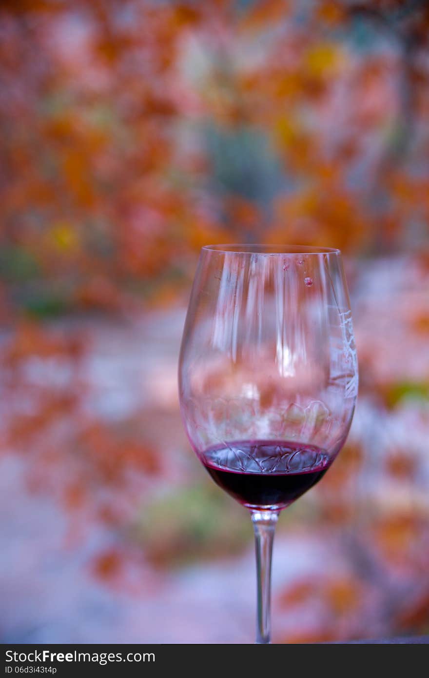 Wine glass set against a backdrop of fall colors. Wine glass set against a backdrop of fall colors.