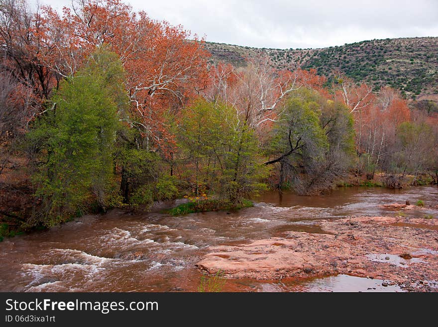 Falls colors on Oak Creek, at Page Springs Arizona