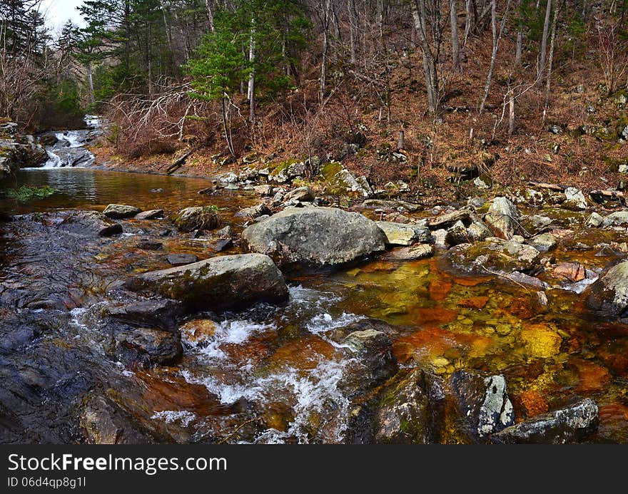 Forest river Voroshilovka, Primorye, Russia, early spring, taiga landscape