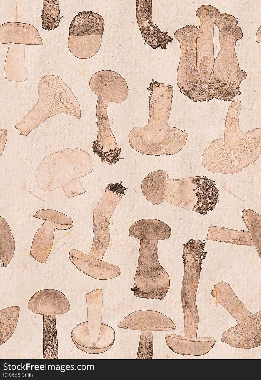 Background From Brown Edible Mushrooms