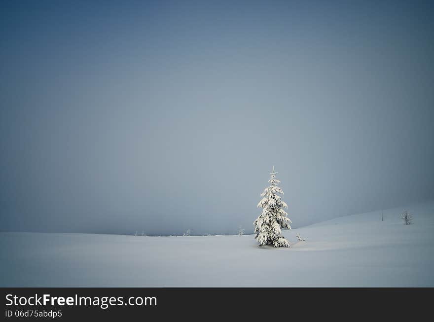 Winter landscape with snow-covered fir-tree in a lonely mountain valley. Christmas theme. Winter landscape with snow-covered fir-tree in a lonely mountain valley. Christmas theme