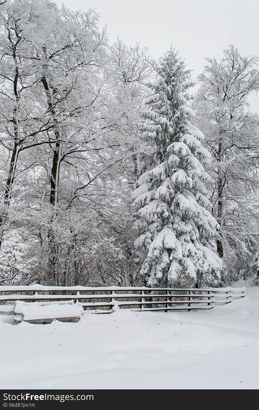 Lane at winter snowy park at late afternoon with a bench covered by snow. Lane at winter snowy park at late afternoon with a bench covered by snow