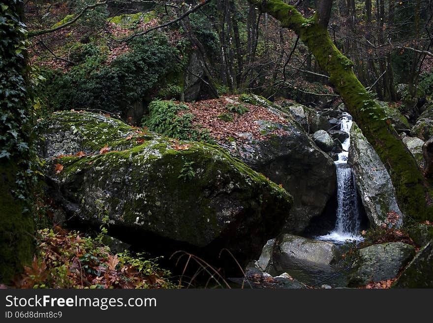 A small waterfall hidden in the wood under rocks and trees. A small waterfall hidden in the wood under rocks and trees