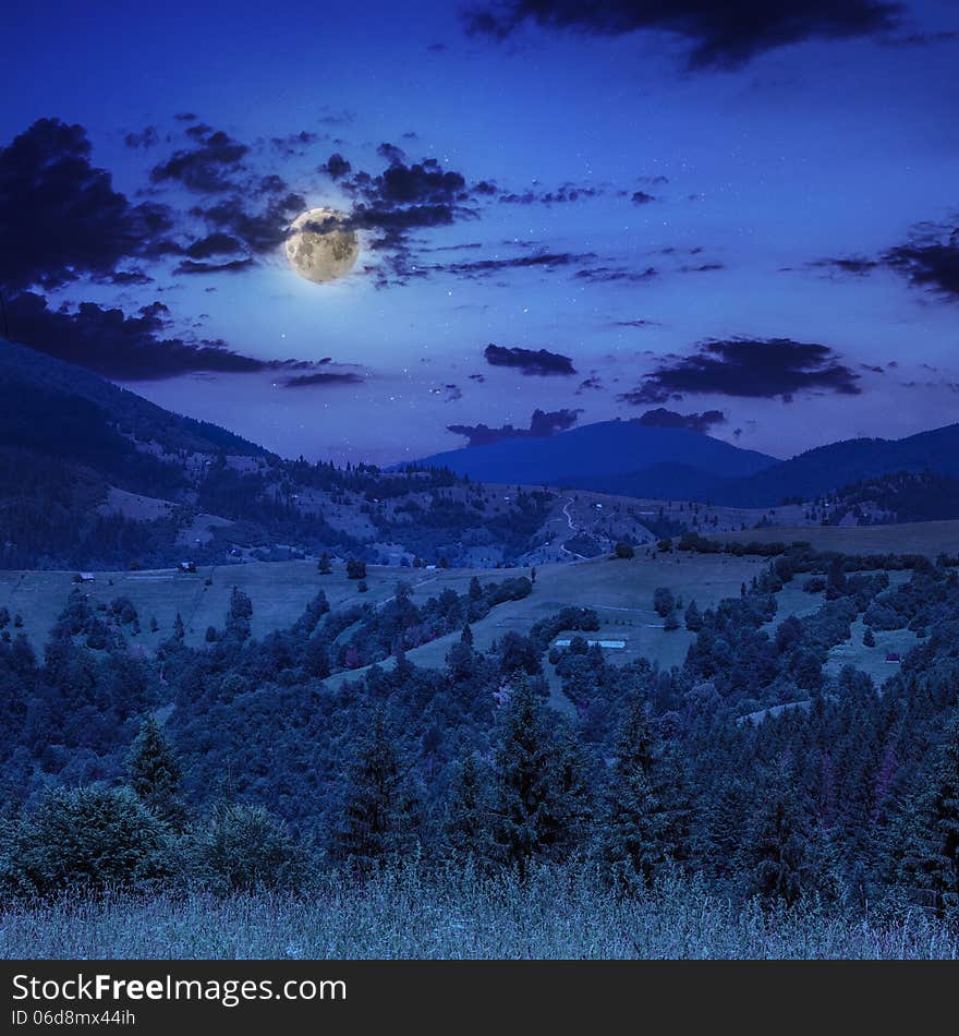 Midnight coniferous forest on a mountain slope