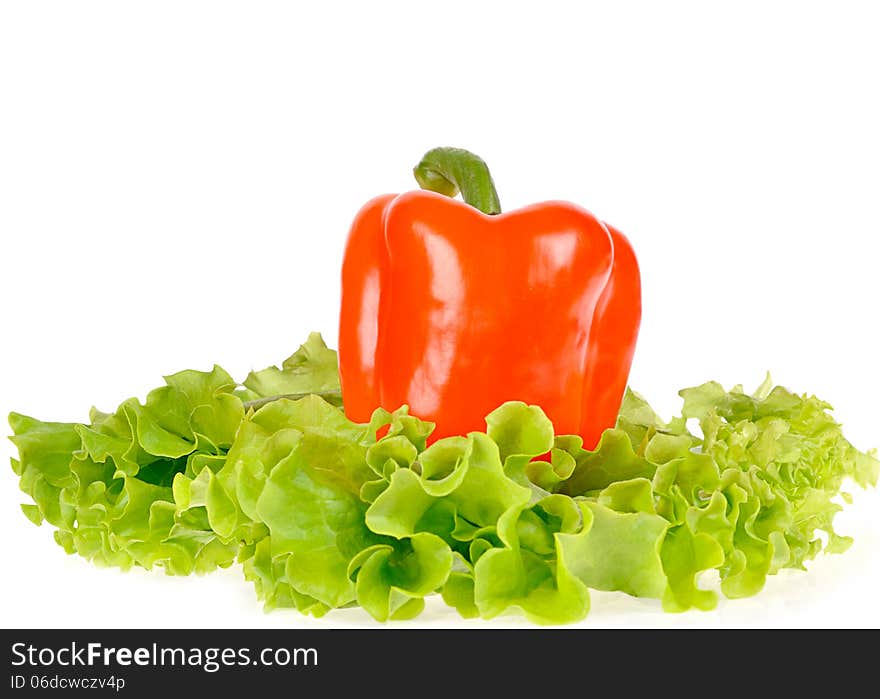 Pepper and salad leaf on dish isolated on white