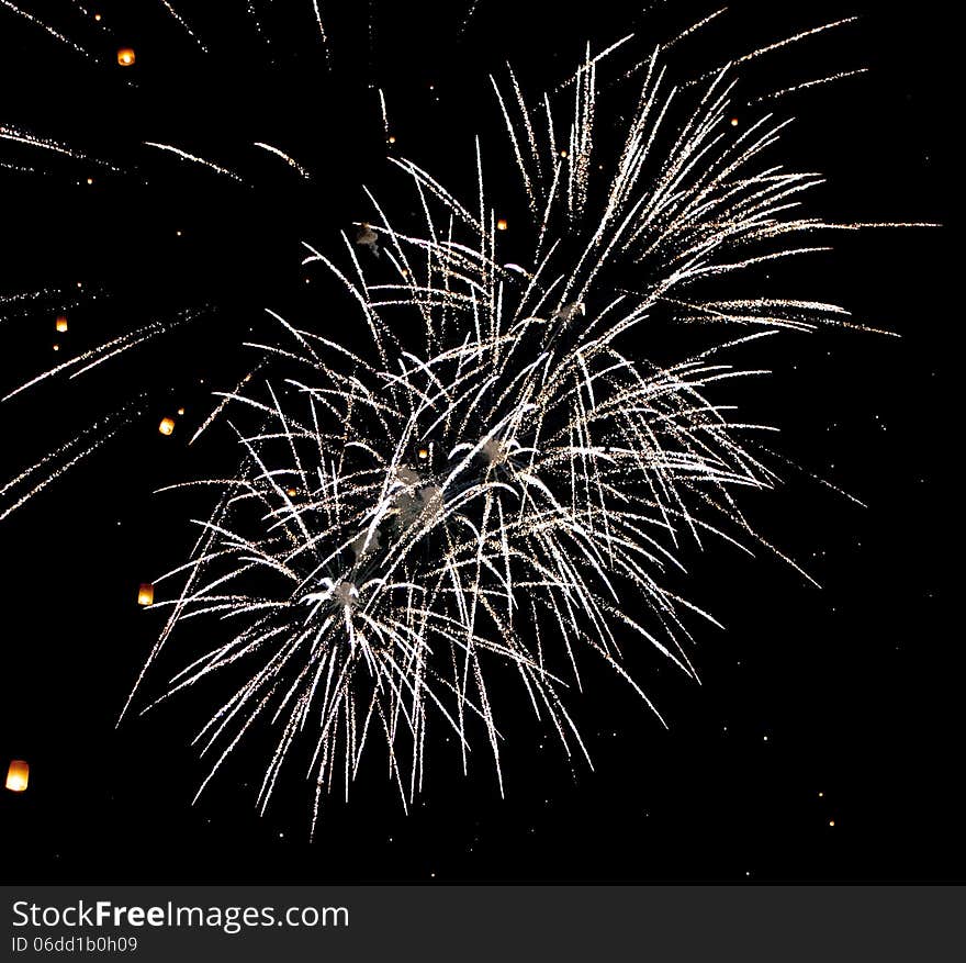 A delicate bursts of palm-like fireworks in the night sky.