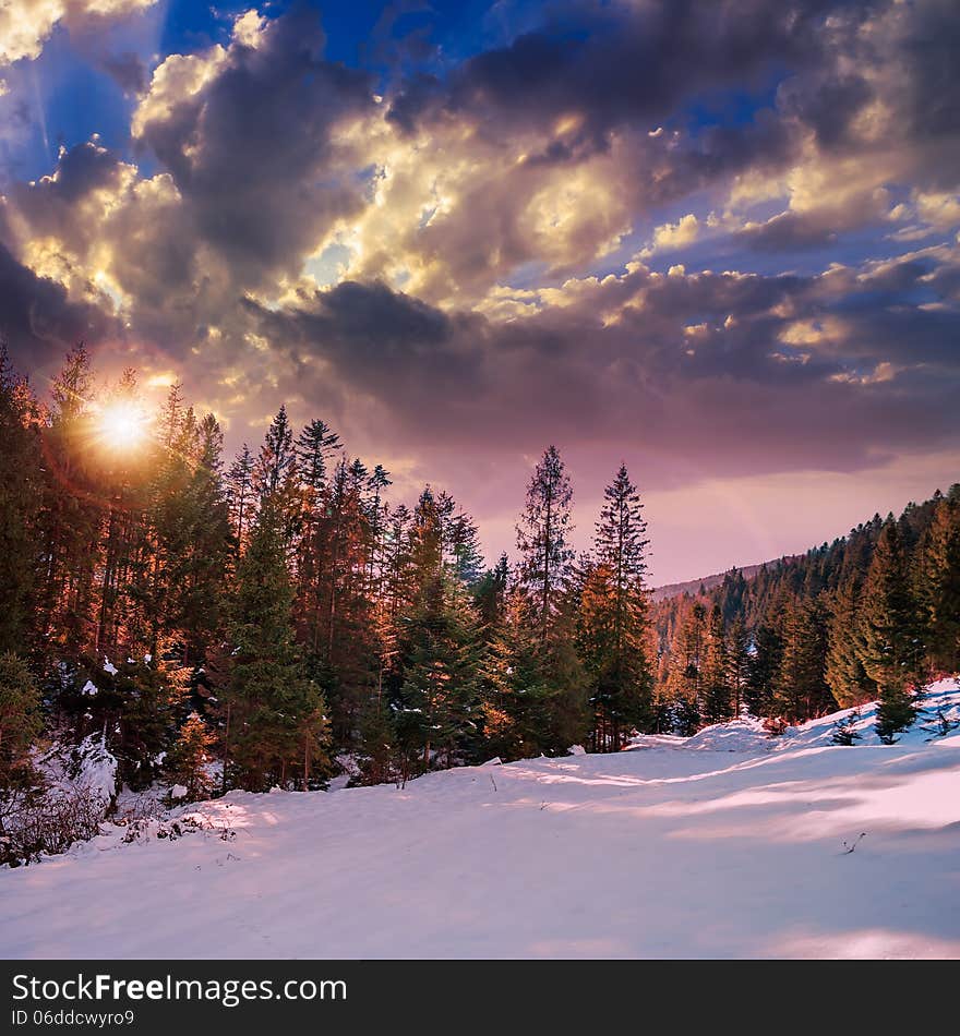 Snowy road to coniferous forest in mountains