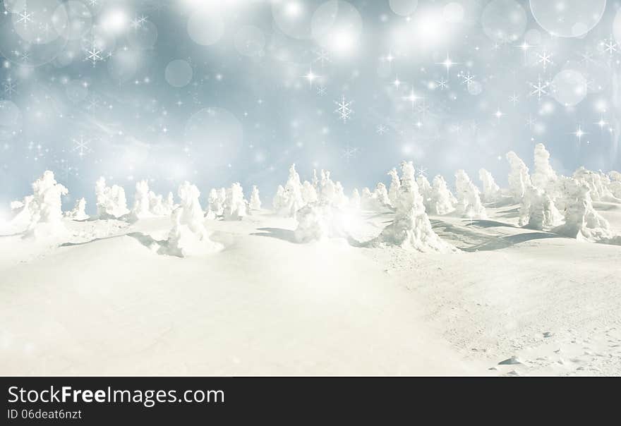 Christmas background with stars and snowy fir trees