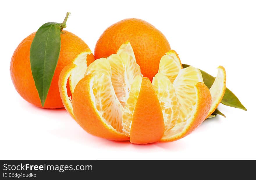 Fresh Ripe Tangerine Full Body with Leafs and Segments with Citrus Peel on white background. Fresh Ripe Tangerine Full Body with Leafs and Segments with Citrus Peel on white background