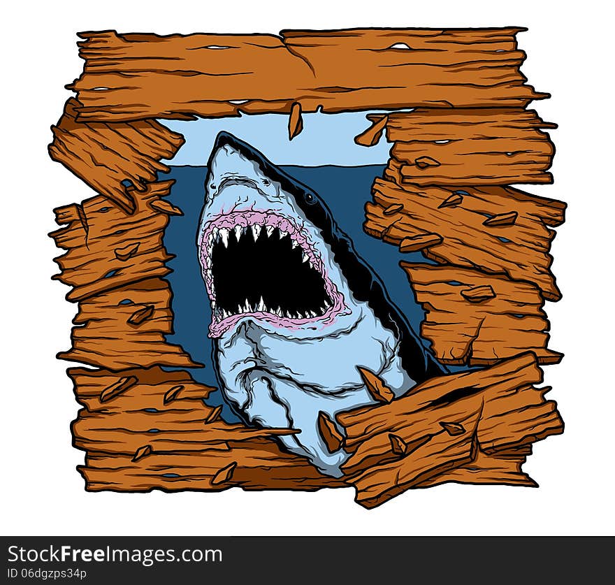 Image ofAngry danger shark attack