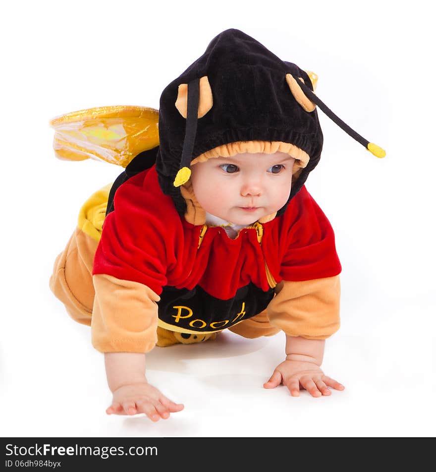 Little girl is creeping and dressed as a bee, isolated on white background