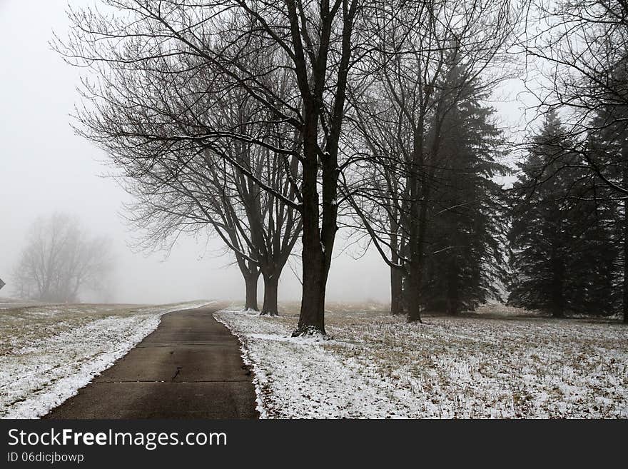 A foggy, cold morning walk with a dusting of snow on the ground. A foggy, cold morning walk with a dusting of snow on the ground.