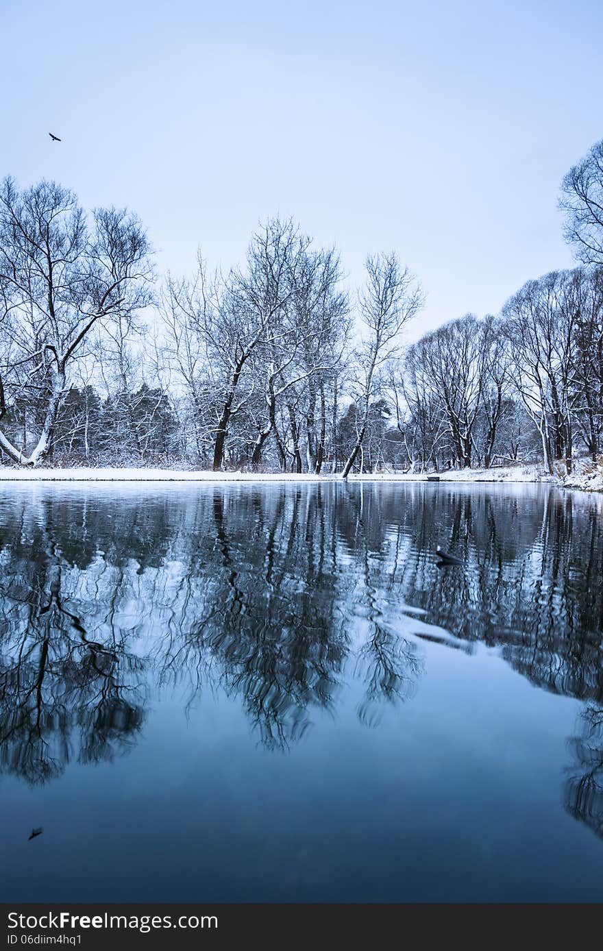 Not Frozen Pond In Winter