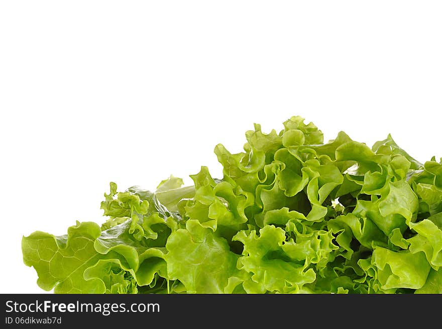 Green salad isolated on a white