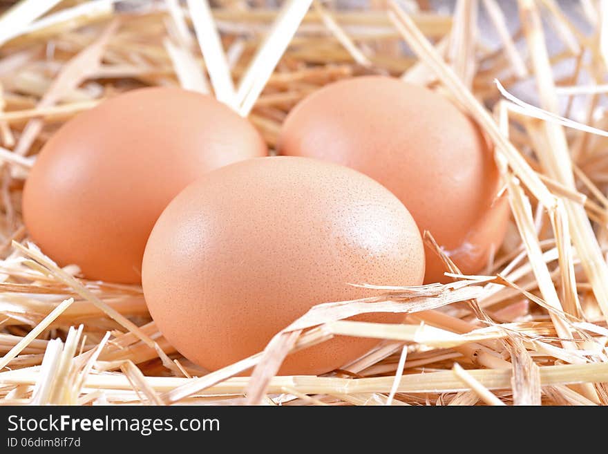 Eggs