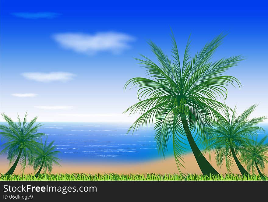 BEACH WITH COCONUT TREES ILLUSTRATIONS