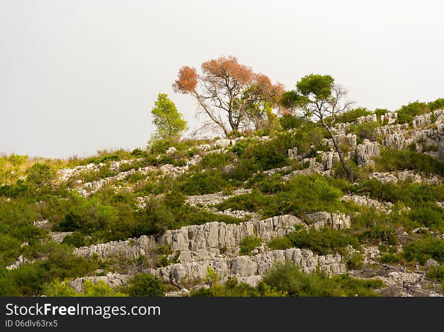 Landscape view at the hills in Catalonia near Barcelona