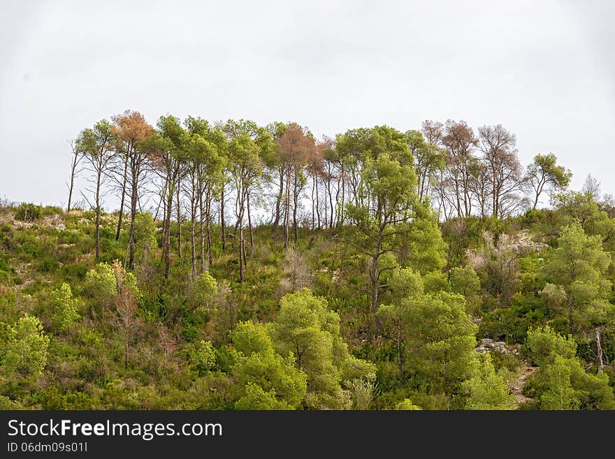 Landscape view at the hills in Catalonia near Barcelona