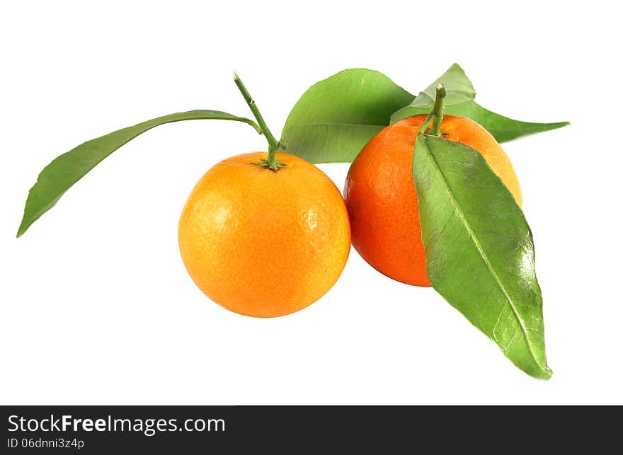 Bright tasty tangerines