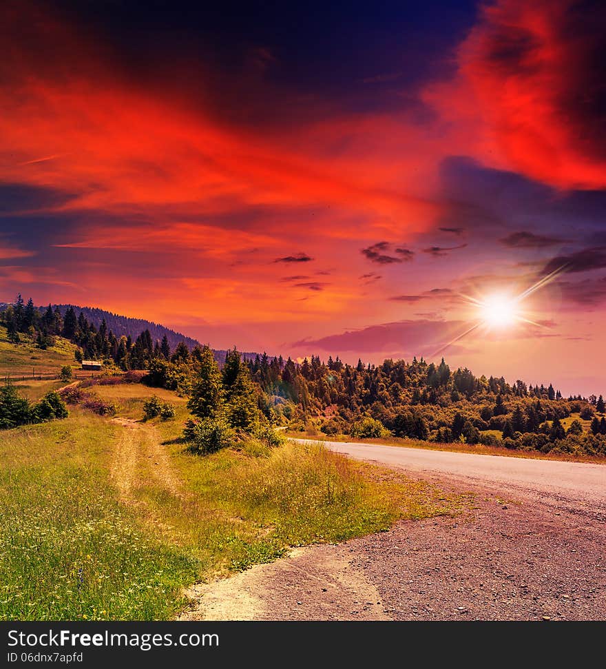 Empty asphalt mountain road with Painted single white Line near the coniferous forest with cloudy sky in evening light. Empty asphalt mountain road with Painted single white Line near the coniferous forest with cloudy sky in evening light