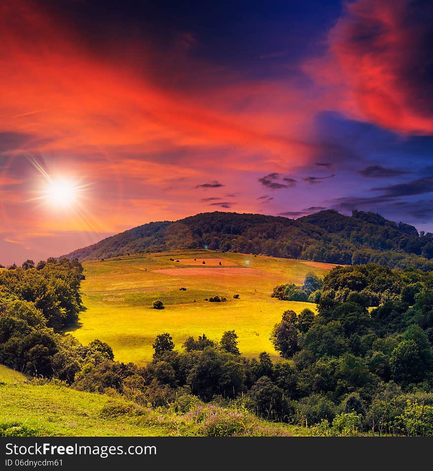 Valley near forest on a steep mountain slope in evening