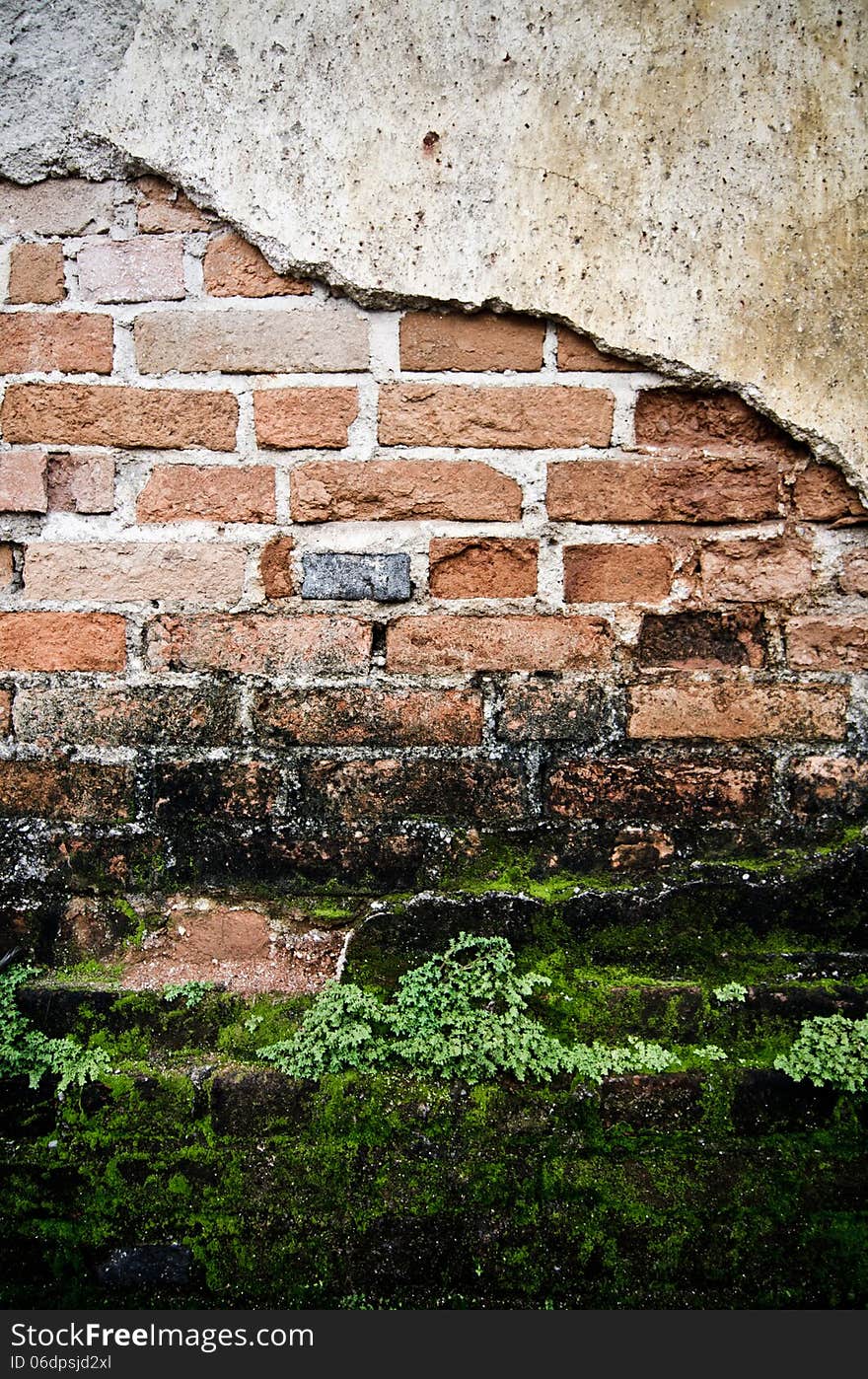 Grunge wall of the old house. Textured background