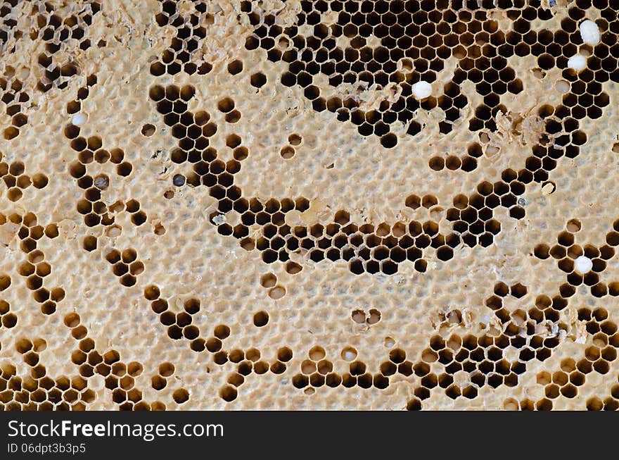 Close up of honeycomb background