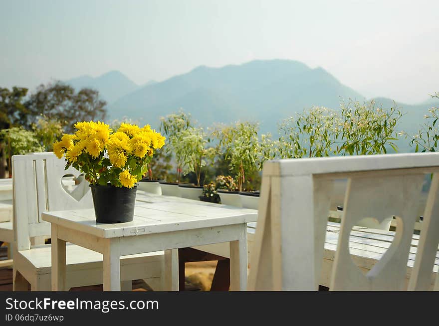 Potted yellow flower on a white bench in the valley. Potted yellow flower on a white bench in the valley.