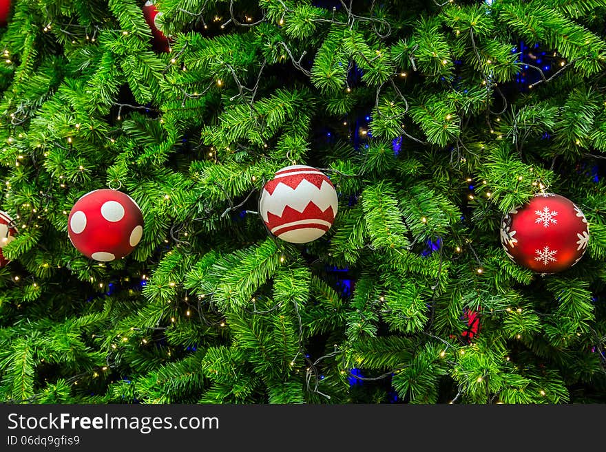 Close-up shot chrismas tree for background.