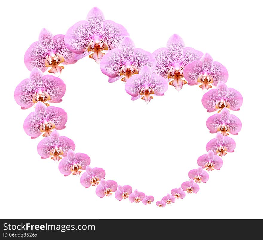 Love concept. Heart shape made from lot of pink orchid flowers. Love concept. Heart shape made from lot of pink orchid flowers