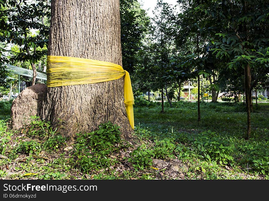 Community forest ordination is save the tree from cutting