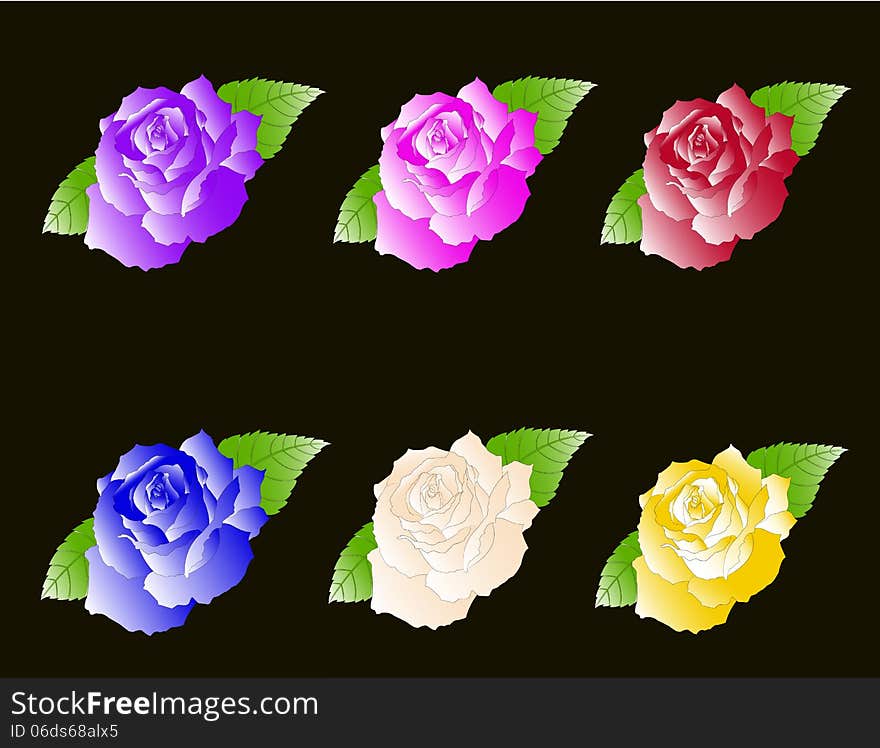 Set Six Roses