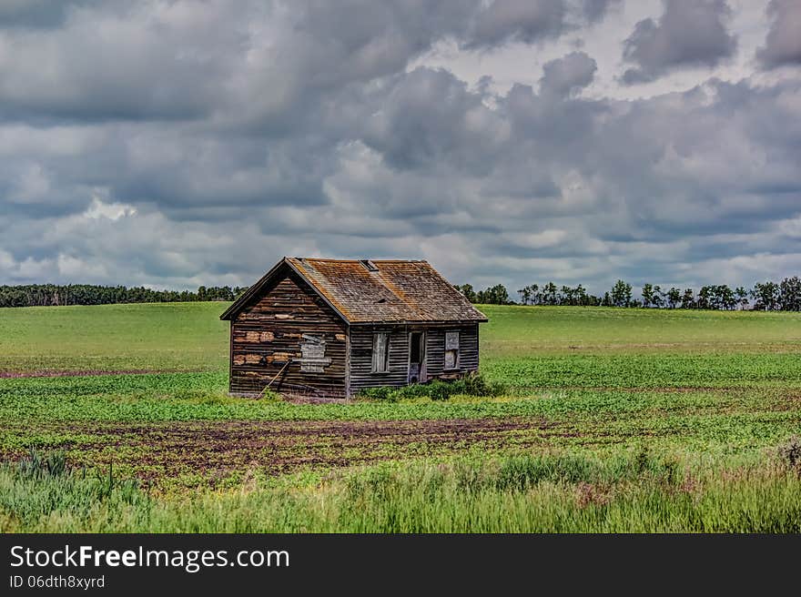 Little brown house