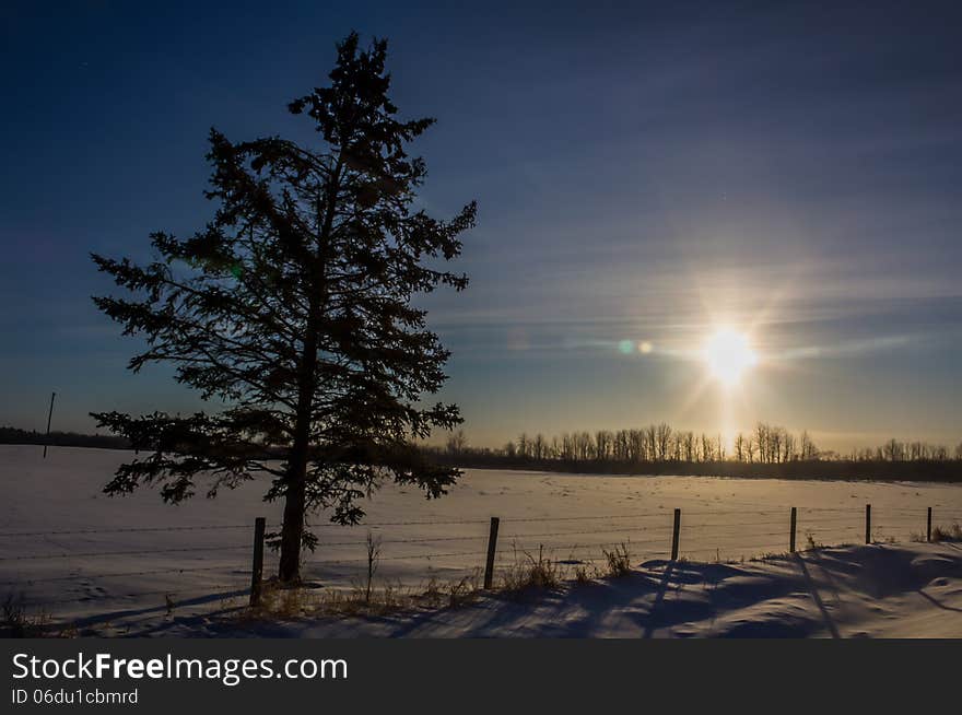 Morning sun shining on a snow covered field