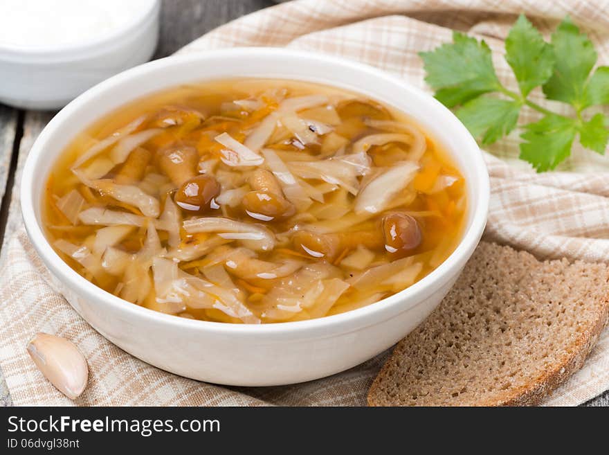 Traditional Russian cabbage soup (shchi) with wild mushrooms, top view. Traditional Russian cabbage soup (shchi) with wild mushrooms, top view