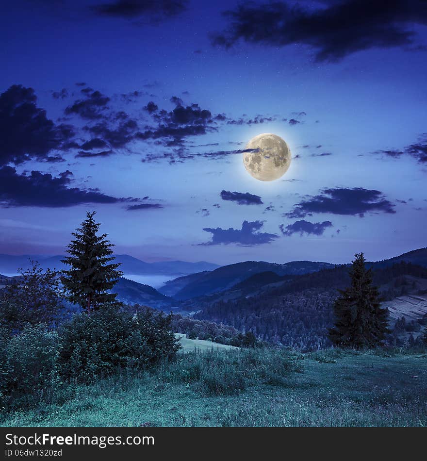 Autumn hillside with red and yellow forest at night