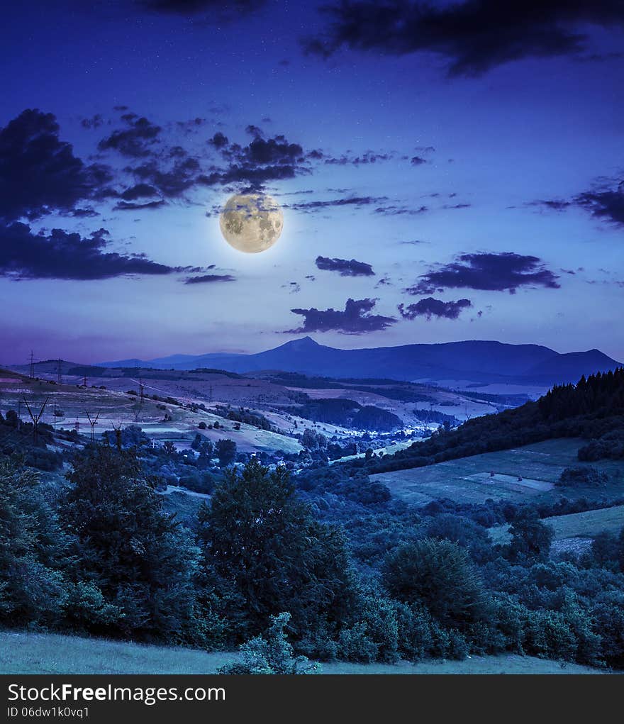 Coniferous forest on a steep mountain slope at night. Coniferous forest on a steep mountain slope at night