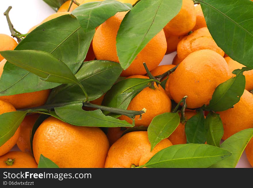 Tangerines With Leaves