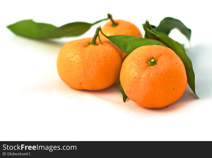 Three tangerines with leaves