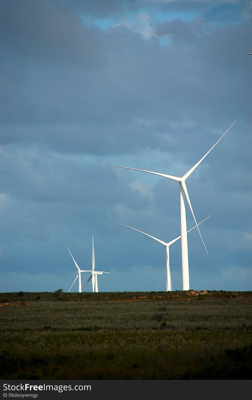 Huge wind turbines at the Jeffreys Bay Wind Farm in South Africa will from mid-2014, supply 460 000 MWh per year, enough clean, renewable electrical energy to meet the needs of 110 000 average South African households. Huge wind turbines at the Jeffreys Bay Wind Farm in South Africa will from mid-2014, supply 460 000 MWh per year, enough clean, renewable electrical energy to meet the needs of 110 000 average South African households.