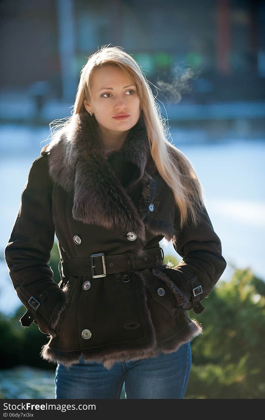 Beautiful blonde woman with long hair in a brown fur coat. Beautiful blonde woman with long hair in a brown fur coat