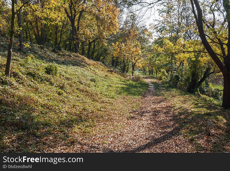 Autumn landscape in the park area.