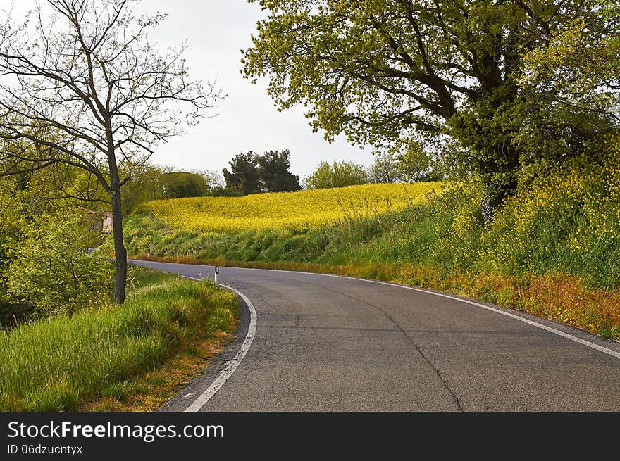 Turn Mountain Road In The Mountains Of Italy