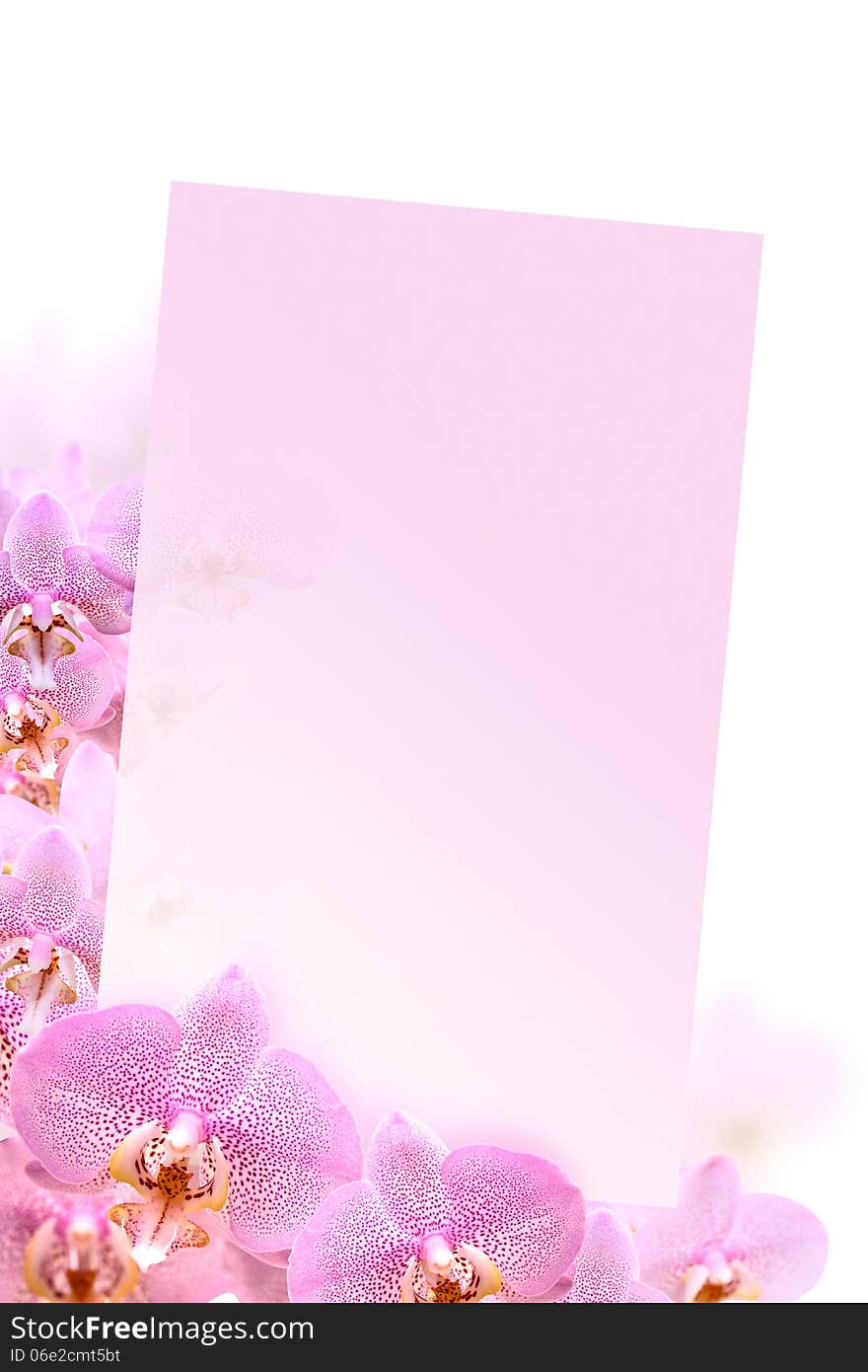 Blank paper between beautiful pink orchid flowers. Blank paper between beautiful pink orchid flowers