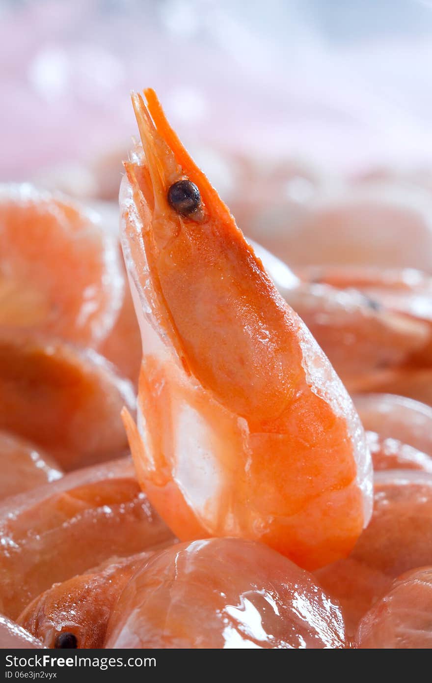 Frozen shrimp close-up.