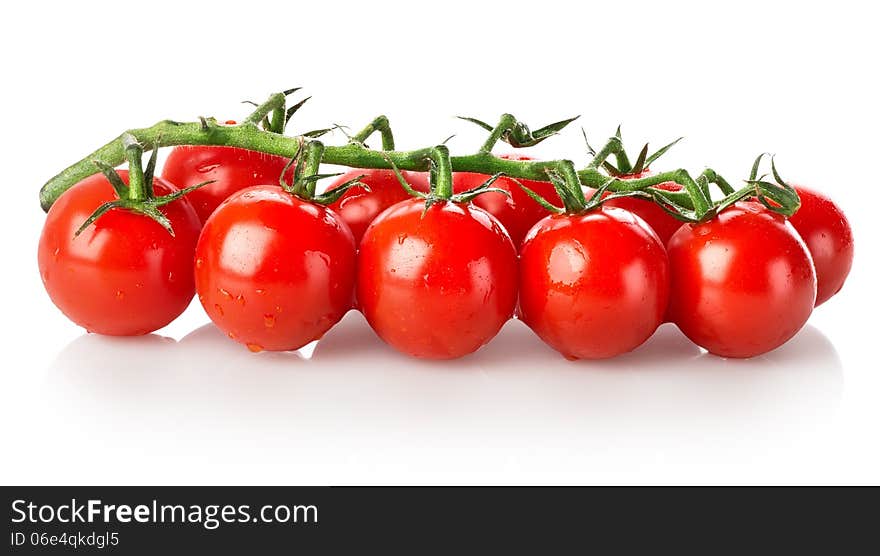 Branch of tomatoes