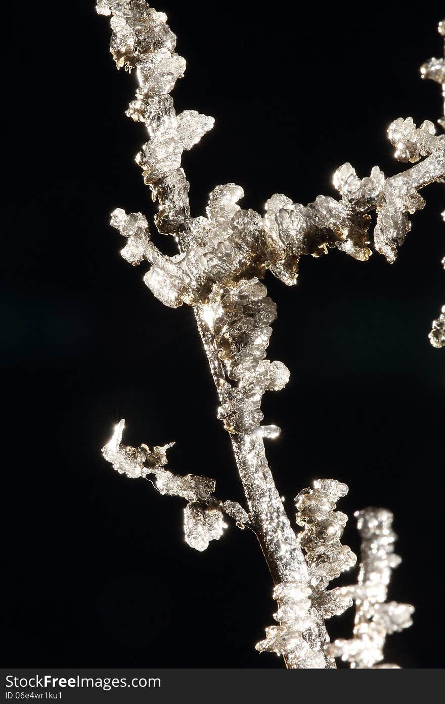 Closeup of White Frost on Twig