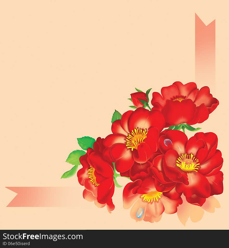 Fresh bouquet of beautiful red roses with white background. Fresh bouquet of beautiful red roses with white background.